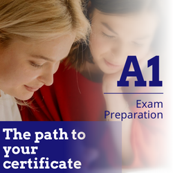 A1 PREPARATION